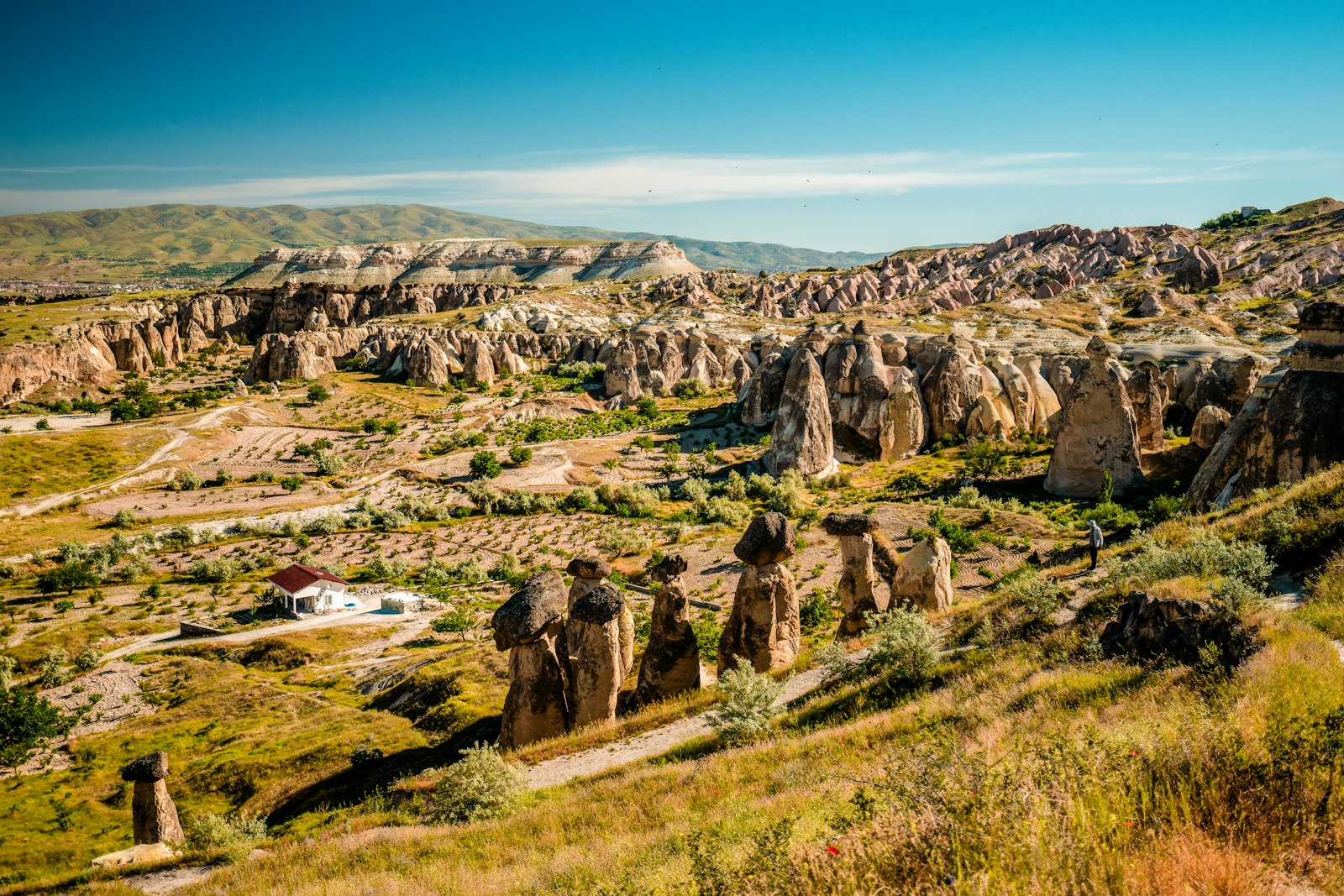 4 days · With kids Cappadocia trip