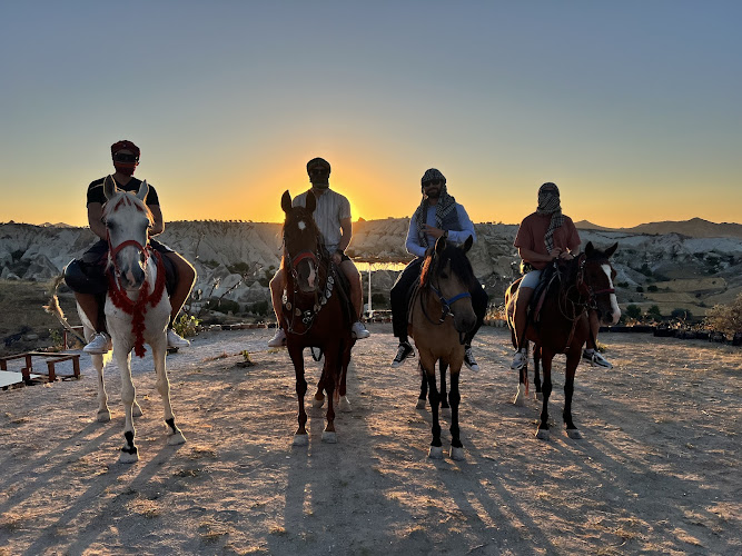 Moonlight Horse Ranch