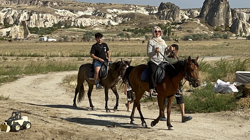 The Center Horse Ranch