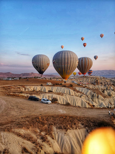 Rainbow Balloons